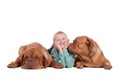 Boy with dogs Royalty Free Stock Photo