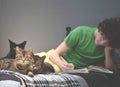 Boy Doing Homework with Three Cats on His Bed Royalty Free Stock Photo