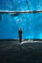 Boy in Dolphin Dome