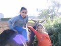 Boy on a donkey in a farm, rural life