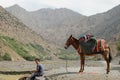 Boy & Donkey, Imlil, High Atlas Mountains, Morocco