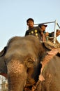 A boy drives an elephantThe village of Sauraha on the border of Royalty Free Stock Photo