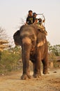 A boy drives an elephantThe village of Sauraha on the border of Royalty Free Stock Photo