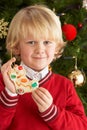 Boy Eating Cookie In Front Of Christmas Tree Royalty Free Stock Photo