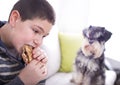 Boy eating and dog watching at him Royalty Free Stock Photo
