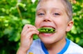 Boy eating a green Peas Royalty Free Stock Photo