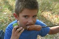 Boy eating a sausage