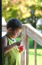 Boy Eating a Snack Royalty Free Stock Photo