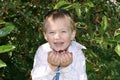 A boy eats the fruit of mulberry