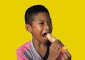 The boy eats hot dog Happily Isolated on a yellow background. Embed clipping path. Junk food concept