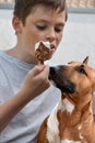 Boy eats icecream the dog hopes to get a little bit