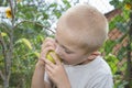 Boy eats a pear from a tree Royalty Free Stock Photo