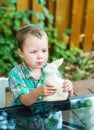 Boy Eats a White Chocolate Bunny Royalty Free Stock Photo