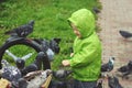 Boy with emotions raging hungry pigeons park bench spring