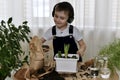 The boy is engaged of hyacinths, scoops the shovel the ground out of the bag, waking her to the table Royalty Free Stock Photo