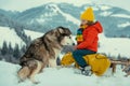 Boy enjoy a sleigh ride with siberian husky dog. Child sledding, riding a sledge. Children play in snow in winter Royalty Free Stock Photo