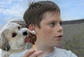 Havanese licks secretly the popsicle ice cream of the boy