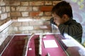 Boy examines ancient pistol in museum