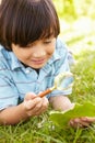 Boy examining leaf