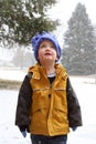 Boy experiencing wonder of winter Royalty Free Stock Photo