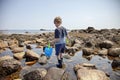 Boy exploring tide pools on New Hampshire coast Royalty Free Stock Photo