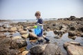 Boy exploring tide pools on New Hampshire coast Royalty Free Stock Photo