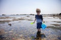 Boy exploring tide pools on New Hampshire coast Royalty Free Stock Photo