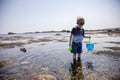 Boy exploring tide pools on New Hampshire coast Royalty Free Stock Photo