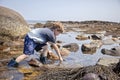 Boy exploring tide pools on New Hampshire coast Royalty Free Stock Photo