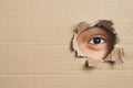 Boy eye peeking through a hole on a cardboard box with shocking gesture.