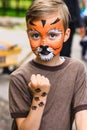 Boy with face painting tiger Royalty Free Stock Photo