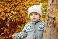 Boy in fall forest Royalty Free Stock Photo