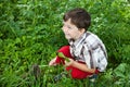 Boy fed rabbits in the garden Royalty Free Stock Photo