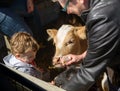 Boy Feeding Animals Royalty Free Stock Photo