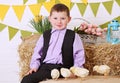 Boy feeding chickens Royalty Free Stock Photo