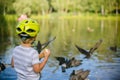 Boy feeding ducks and pigeons in the park by the lake Royalty Free Stock Photo