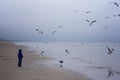 Boy feeding gulls on the beach. Little boy stands on beach the sea on cold windy day Royalty Free Stock Photo