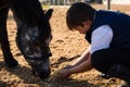 Boy feeding the horse in the ranch Royalty Free Stock Photo