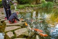 Boy feeding KOI carps in ponf of Kaiserslautern in Germany