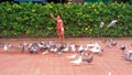 pigeon whisperer