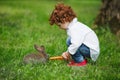 Boy feeding rabbit with carrot in park Royalty Free Stock Photo