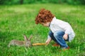 Boy feeding rabbit with carrot in park Royalty Free Stock Photo