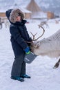 Boy feeding reindeer in the winter Royalty Free Stock Photo