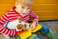 Boy feeding treats to his small puppy dog best friend Royalty Free Stock Photo