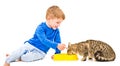 Boy feeds the cat Royalty Free Stock Photo