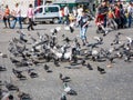 Boy feeds doves on Taksim Square in Istanbul