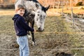 The boy feeds the horses behind the fence Royalty Free Stock Photo