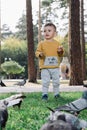 Boy feeds pigeons Royalty Free Stock Photo