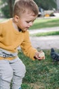 Boy feeds pigeons Royalty Free Stock Photo