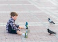 The boy feeds the pigeons Royalty Free Stock Photo